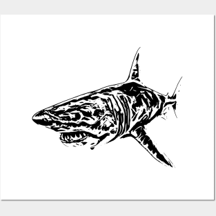 Shark Posters and Art